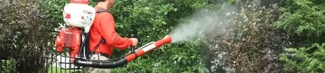 Mosquito control technician fogging shrubs and landscaping for mosquito treatment in Overland Park, KS
