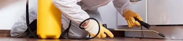 Roach exterminator treating cracks and crevices along kitchen baseboards in Overland Park, KS