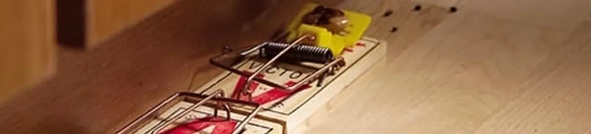 Rodent trap set indoors for rodent control and prevention in Overland Park, KS